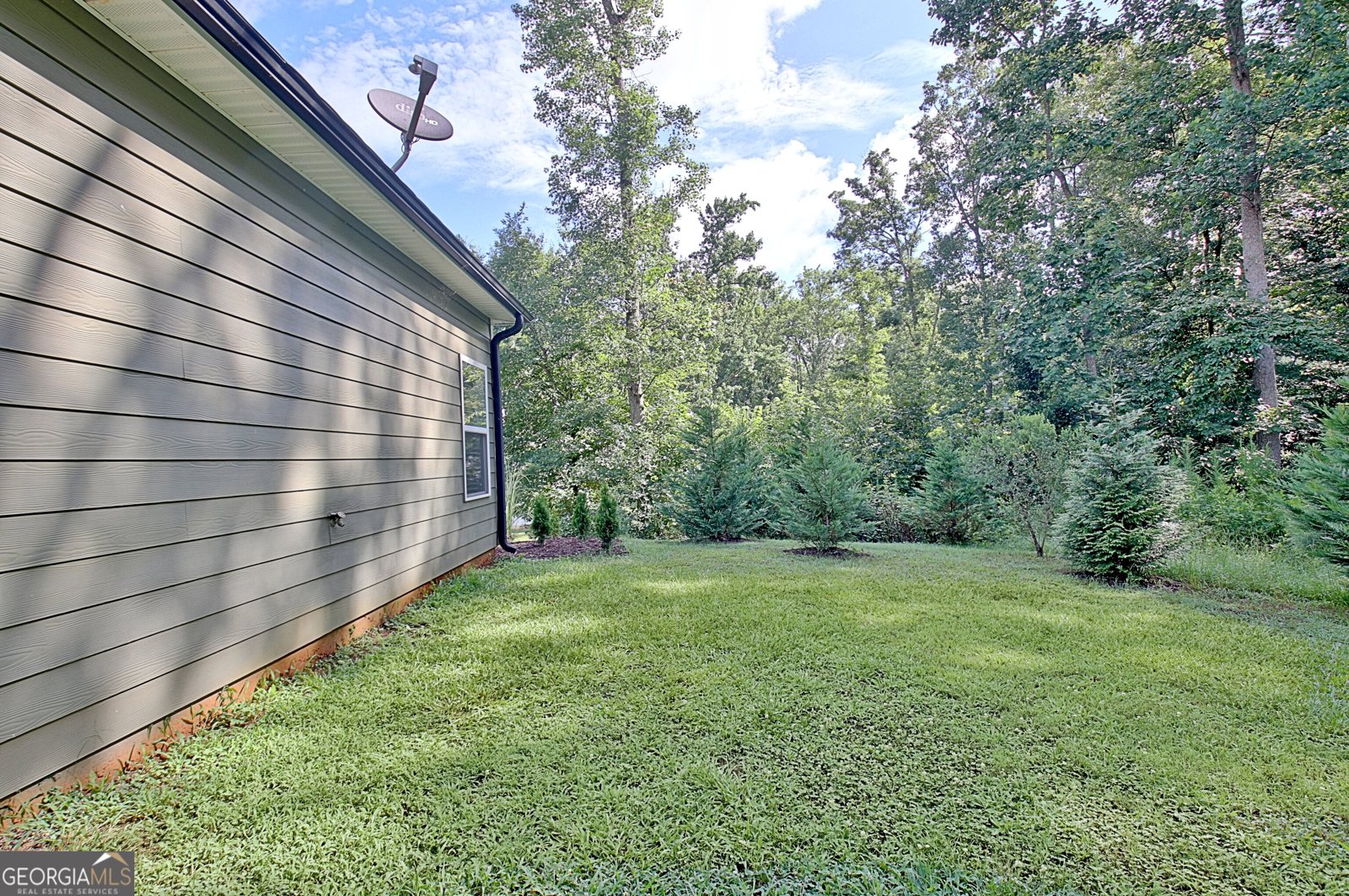 134 Old Bailey Farms Drive Senoia - Photo 68