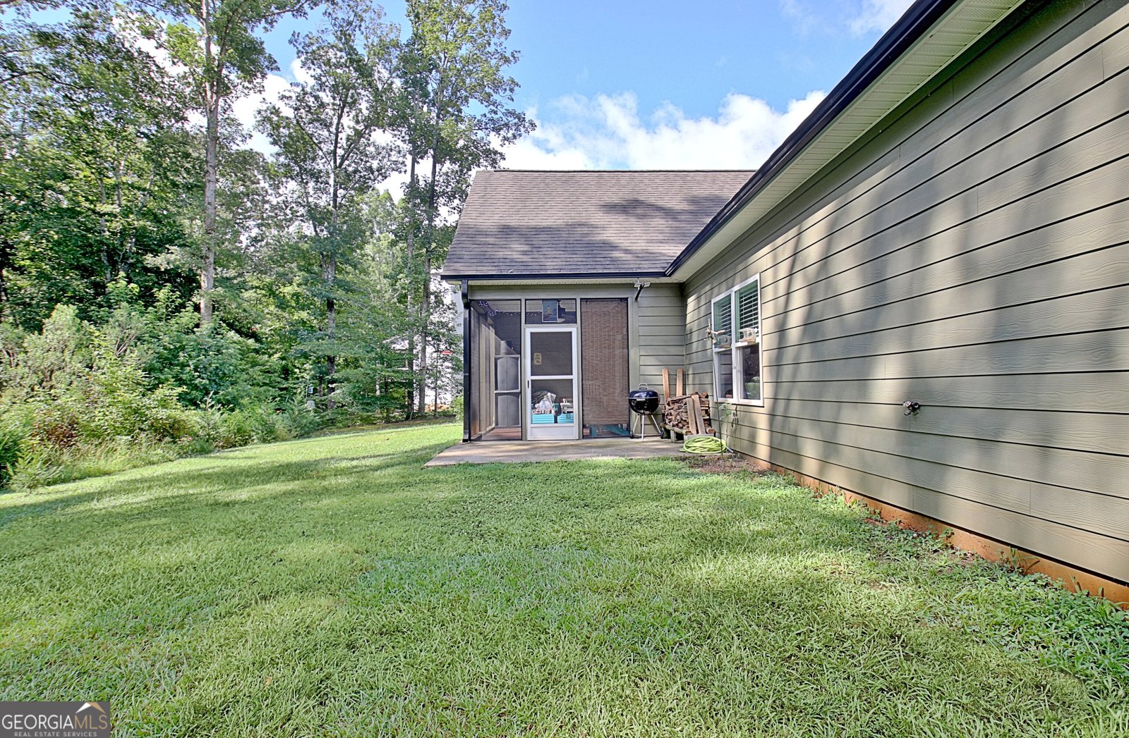 134 Old Bailey Farms Drive Senoia - Photo 69