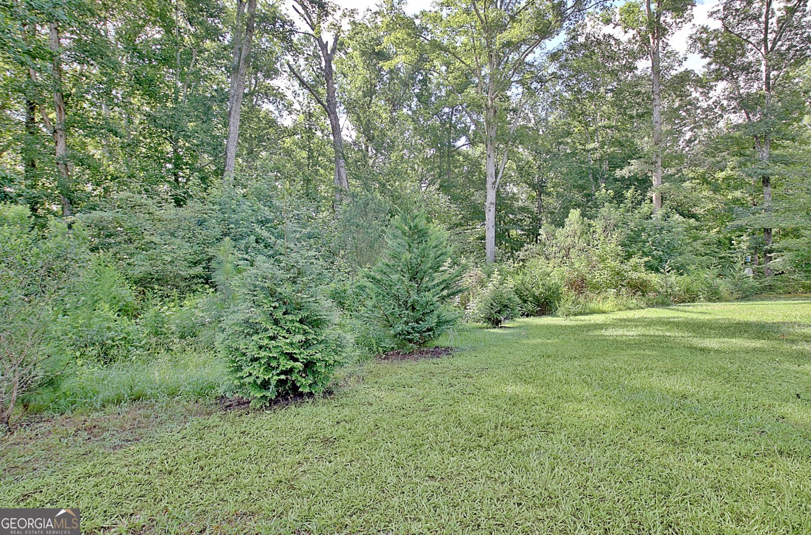 134 Old Bailey Farms Drive Senoia - Photo 70