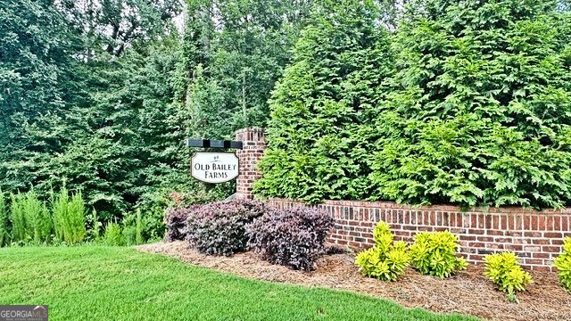 134 Old Bailey Farms Drive Senoia - Photo 74