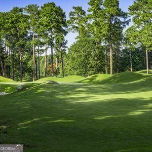 4502 Greenside Walk Austell - Photo 38