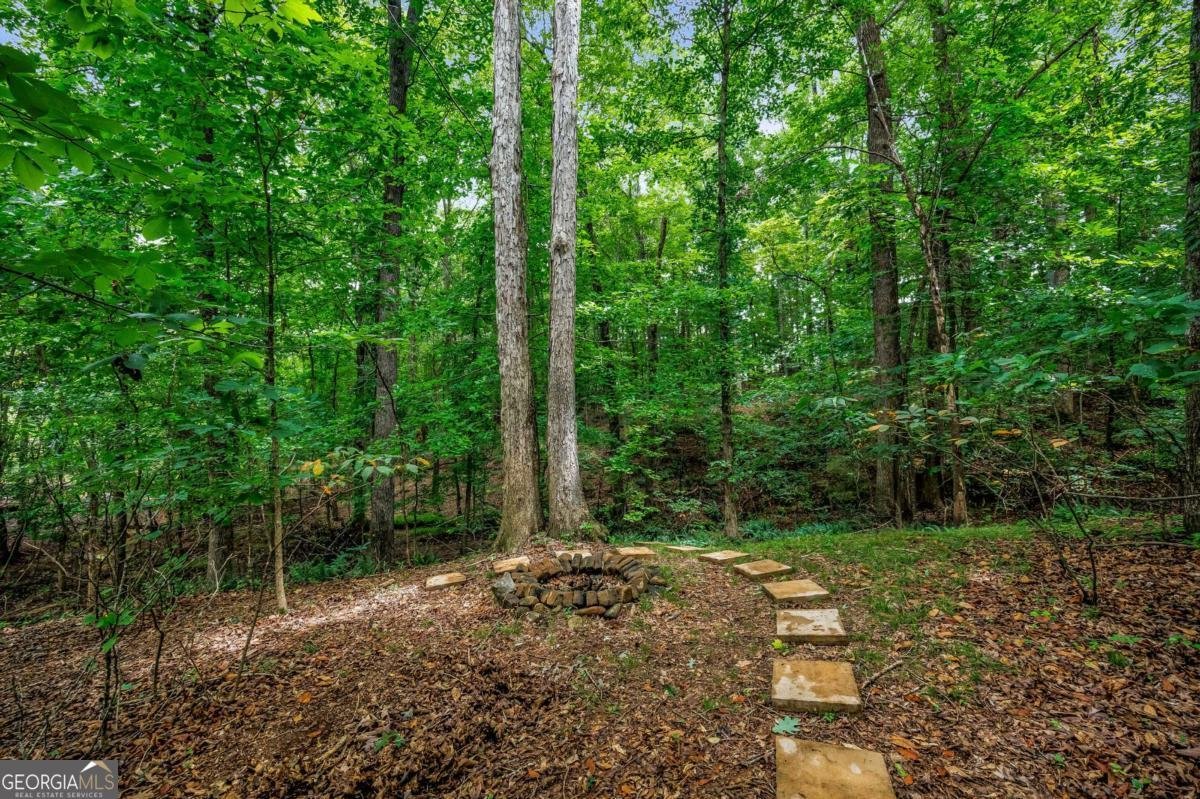 219 Revillion Way Woodstock - Photo 44