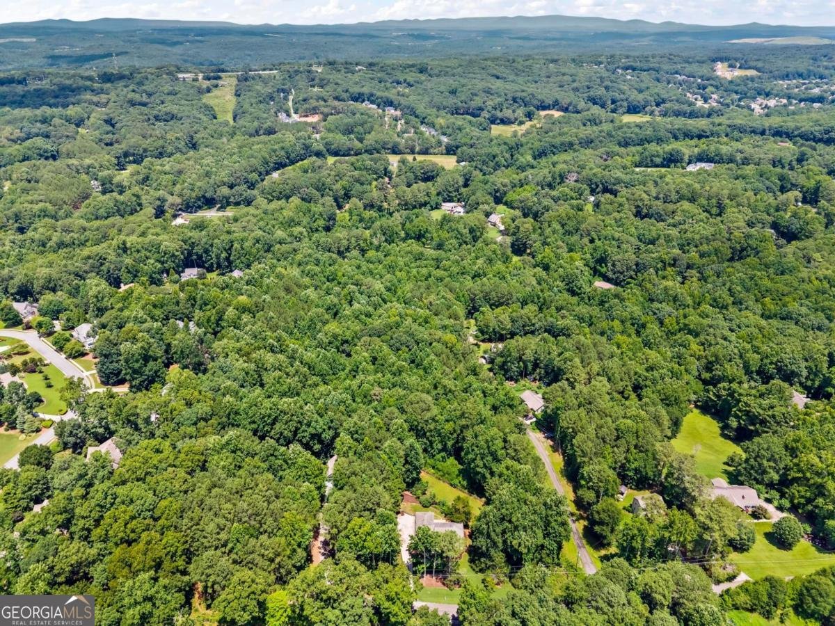 410 Arliss Drive Canton - Photo 33