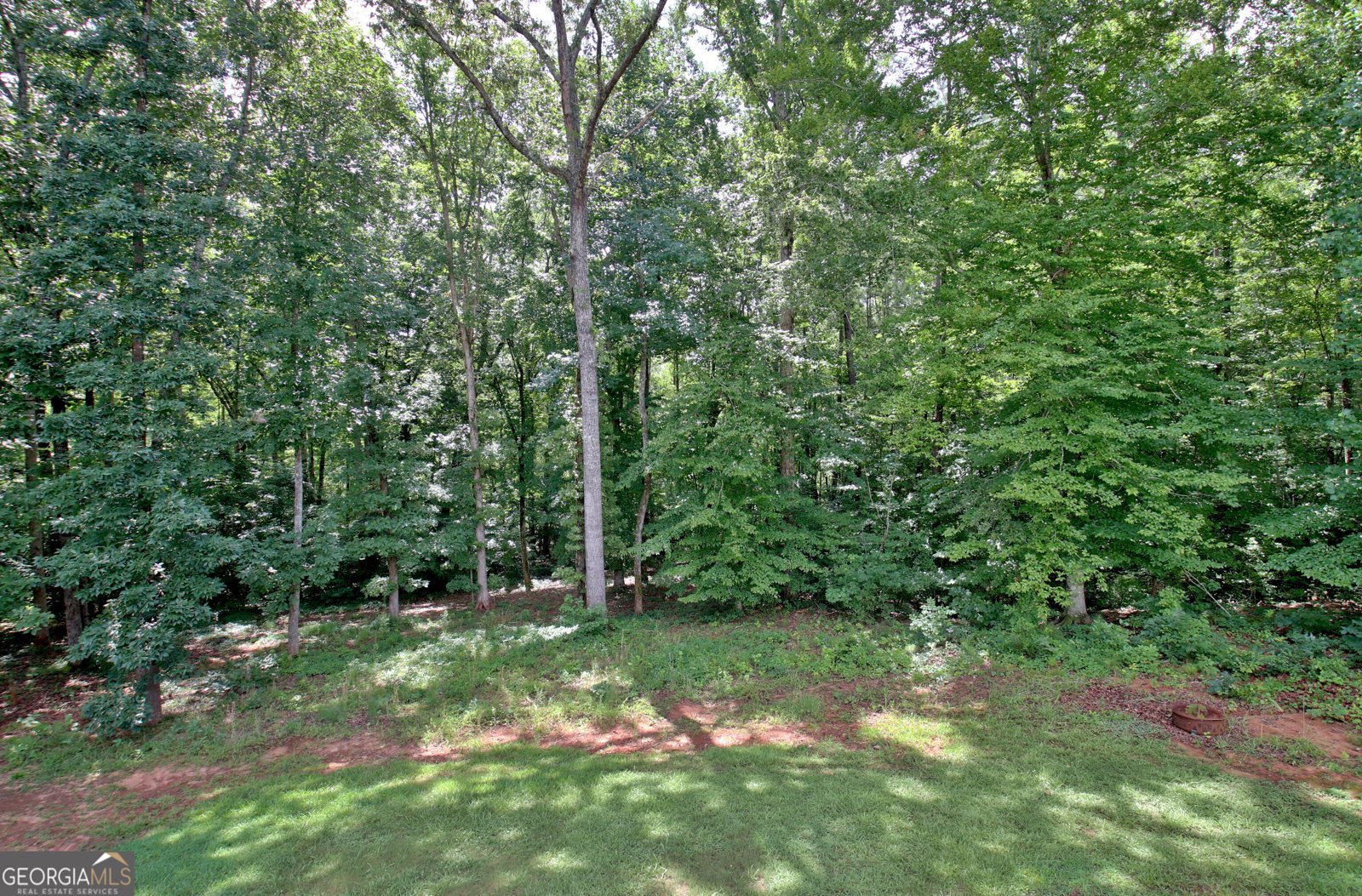 138 Old Bailey Farms Drive Senoia - Photo 33