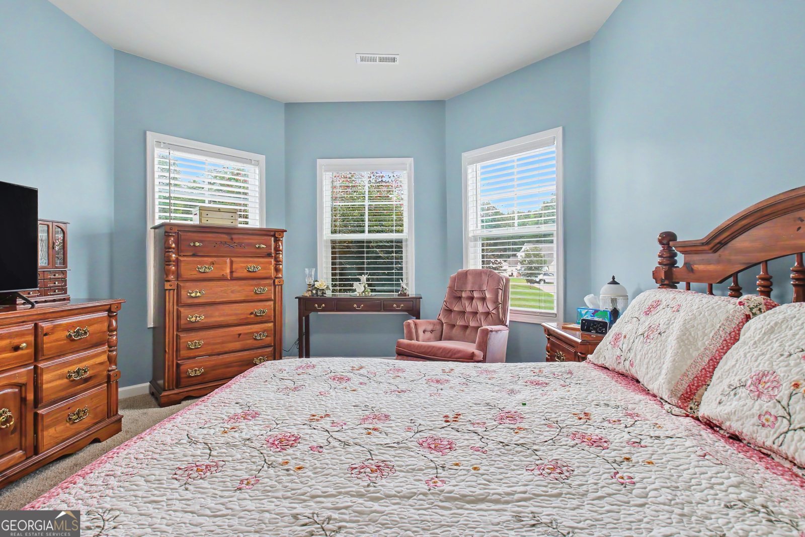 138 Old Bailey Farms Drive Senoia - Photo 45