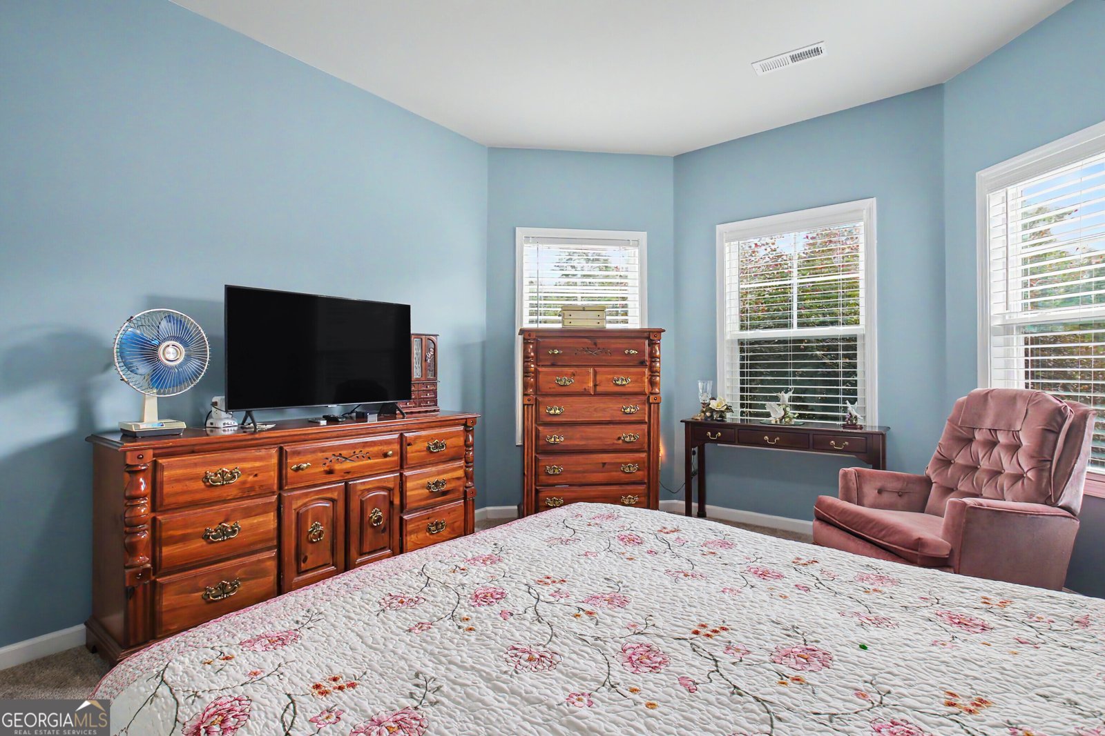 138 Old Bailey Farms Drive Senoia - Photo 47