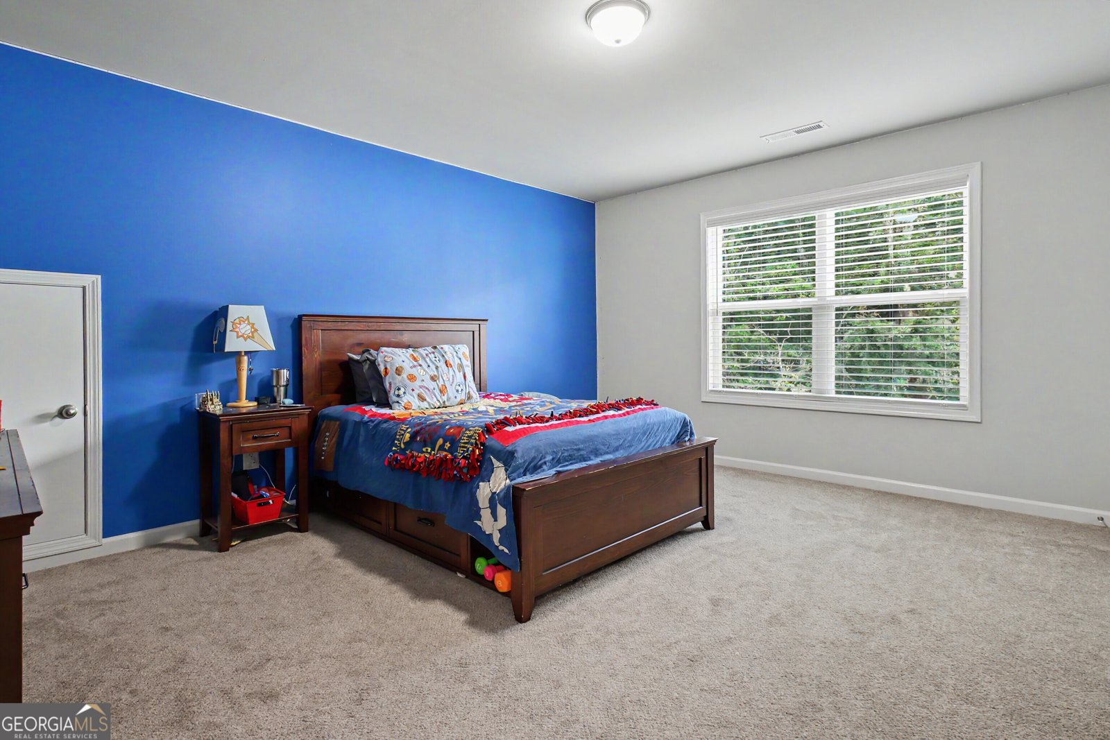 138 Old Bailey Farms Drive Senoia - Photo 51