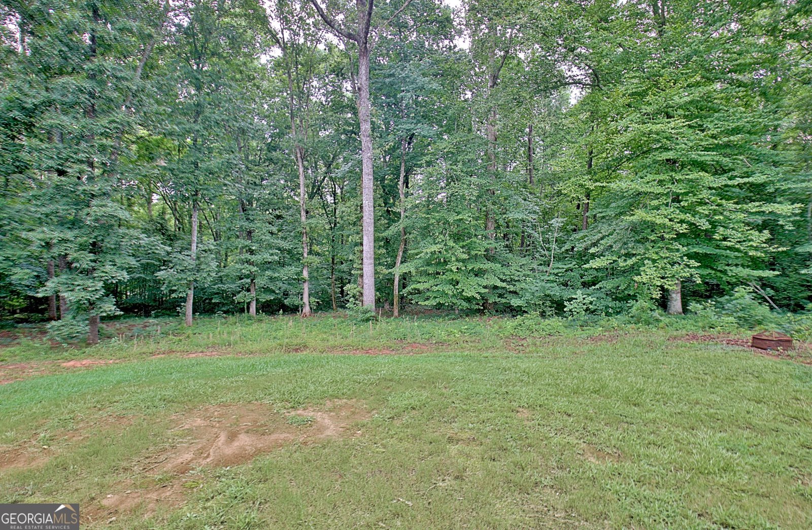 138 Old Bailey Farms Drive Senoia - Photo 67