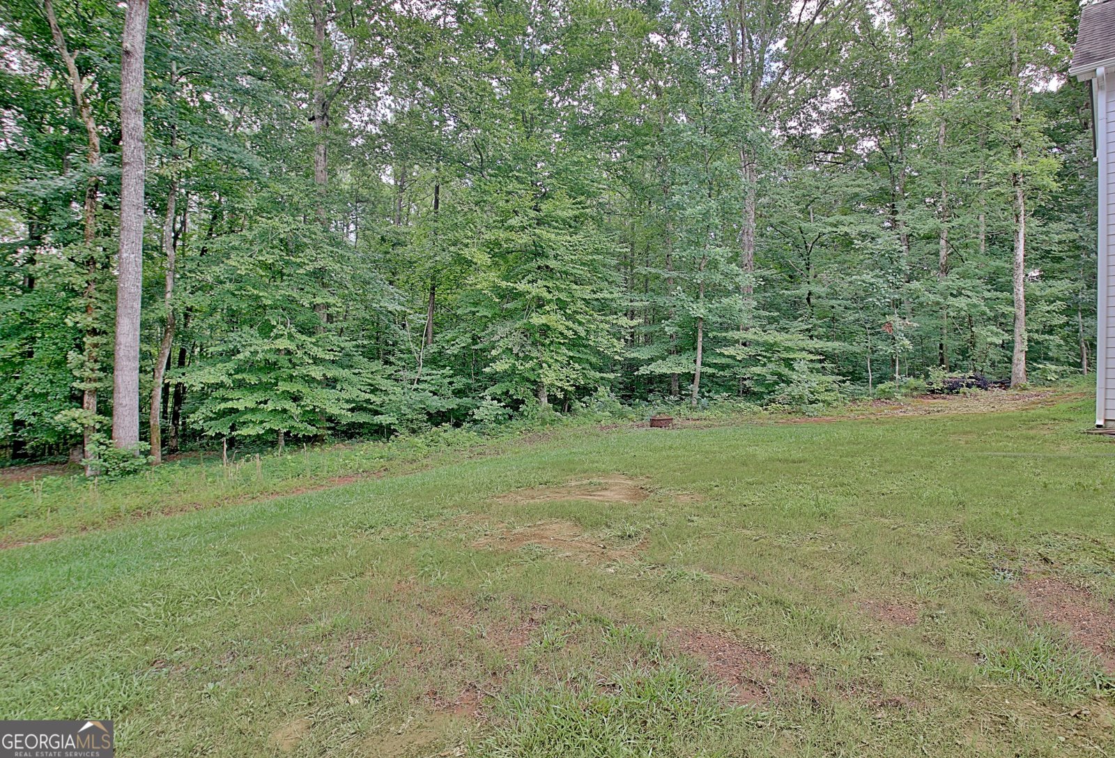 138 Old Bailey Farms Drive Senoia - Photo 68