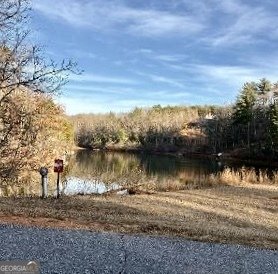 2585 Panorama Drive Sautee Nacoochee - Photo 40