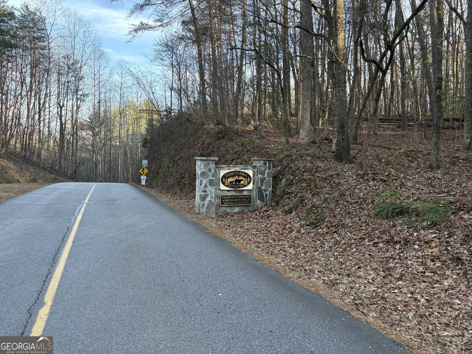 2585 Panorama Drive Sautee Nacoochee - Photo 42