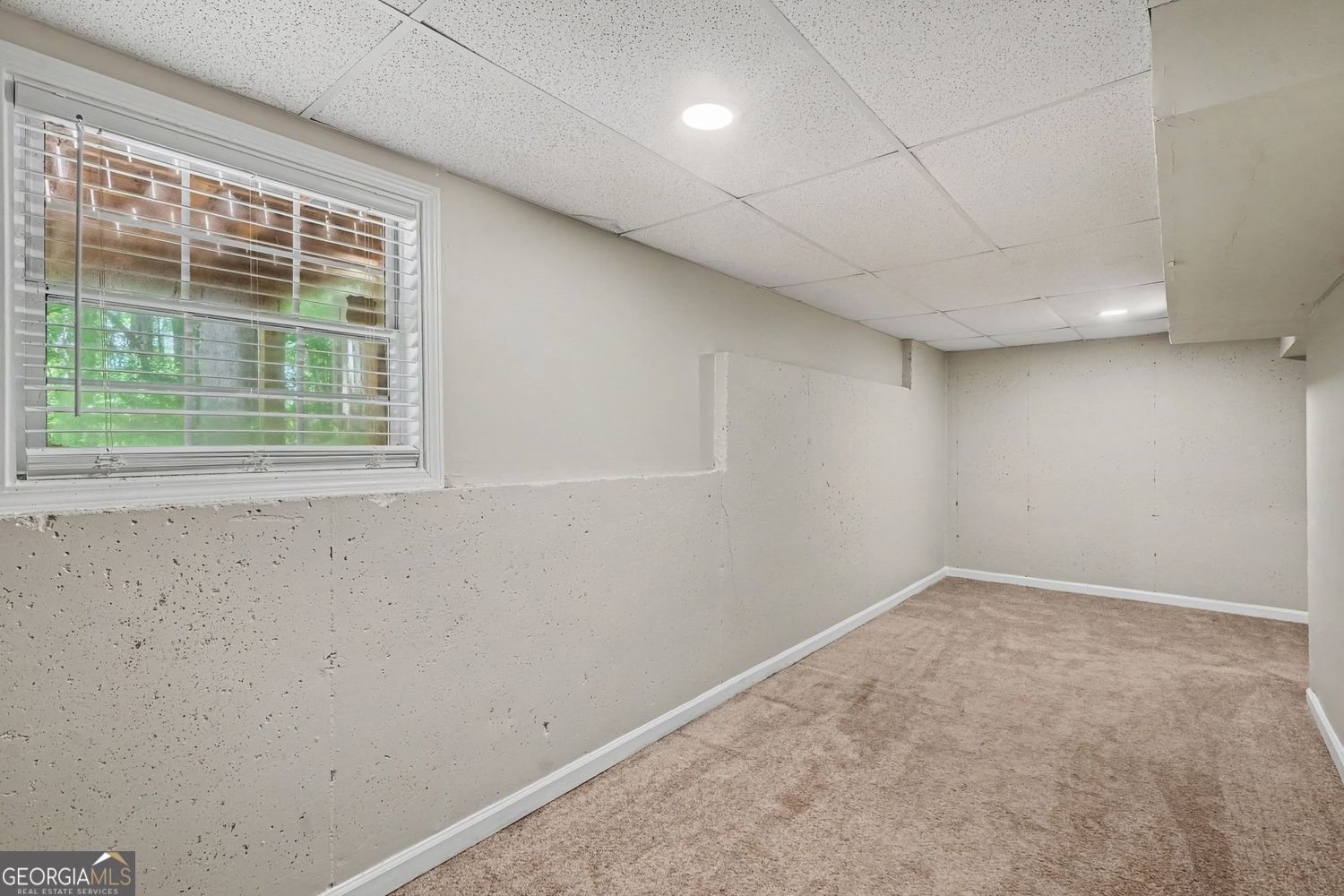 240 Spring Circle Senoia - Photo 11