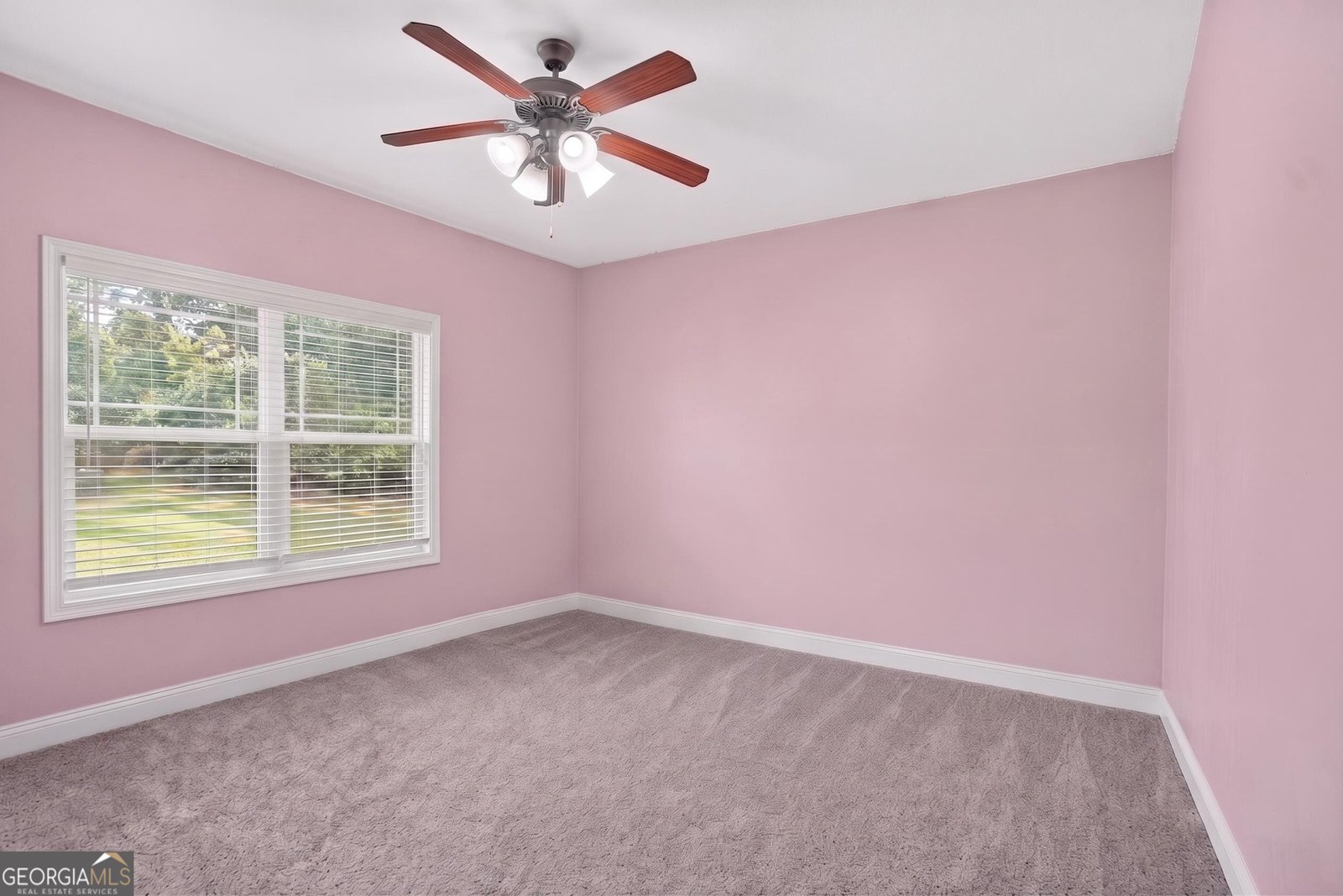 171 Windsor Court Williamson - Photo 19