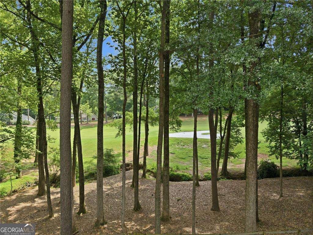 10145 Cresent Hill Lane Roswell - Photo 40