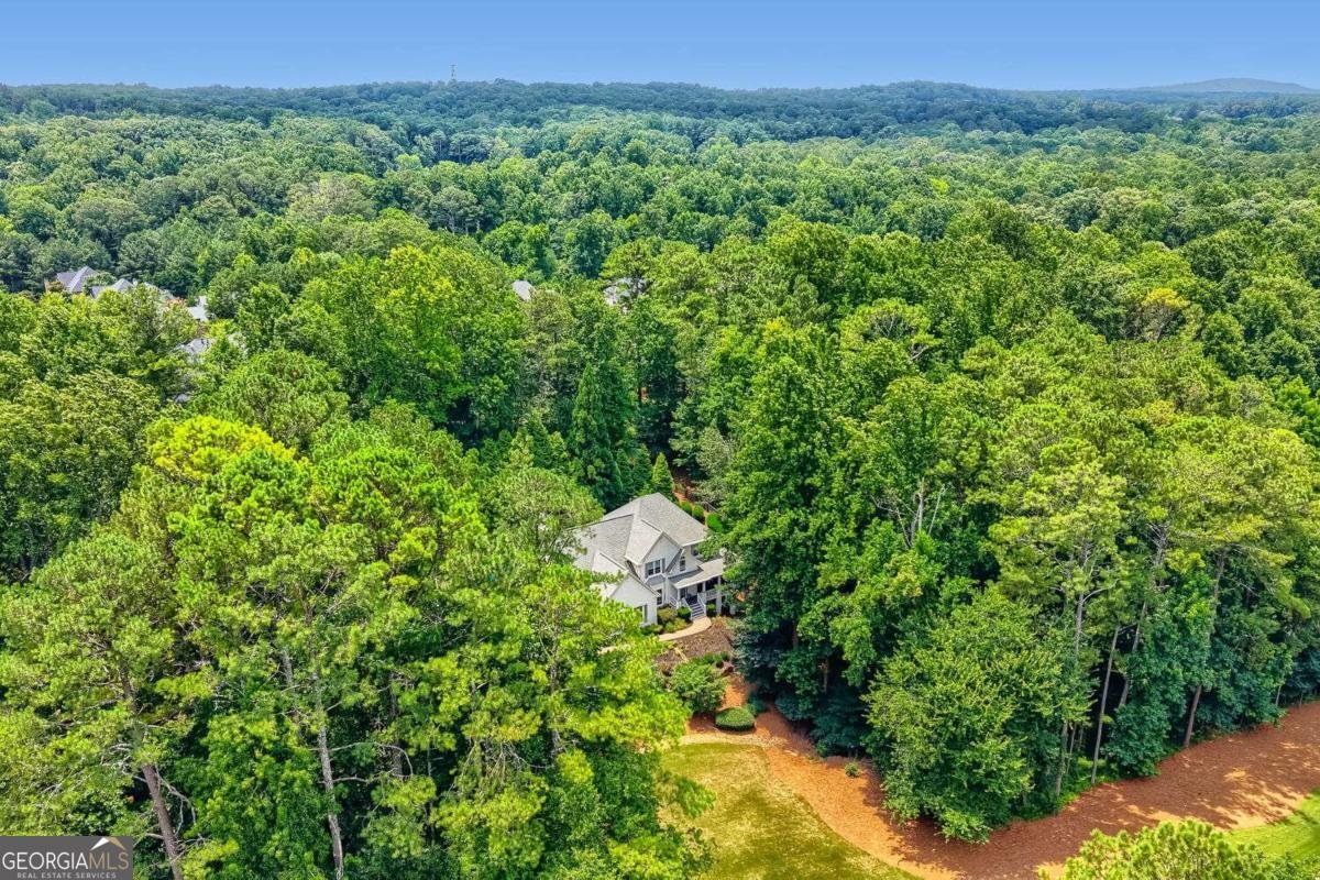 165 Northern Oaks Court Alpharetta - Photo 43