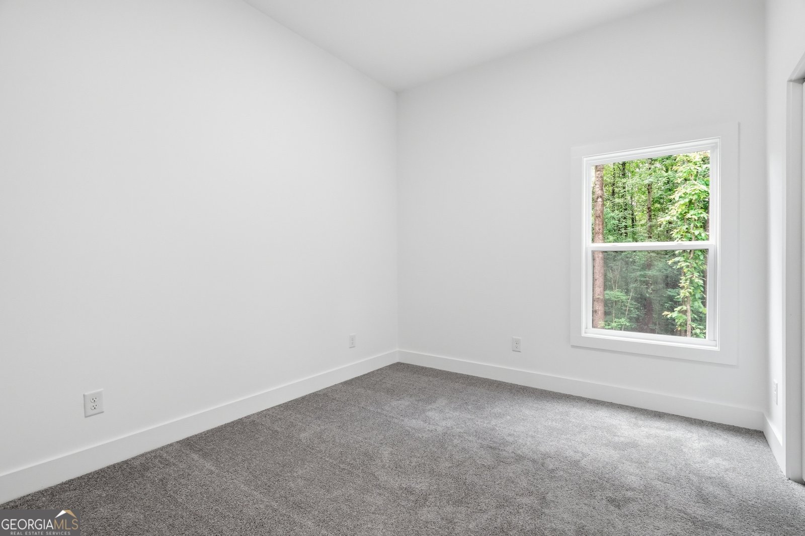 58 Trilium Trail Pendergrass - Photo 50