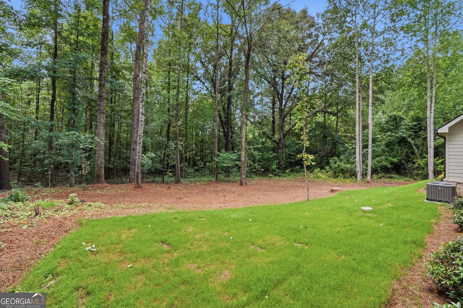 58 Trilium Trail Pendergrass - Photo 63