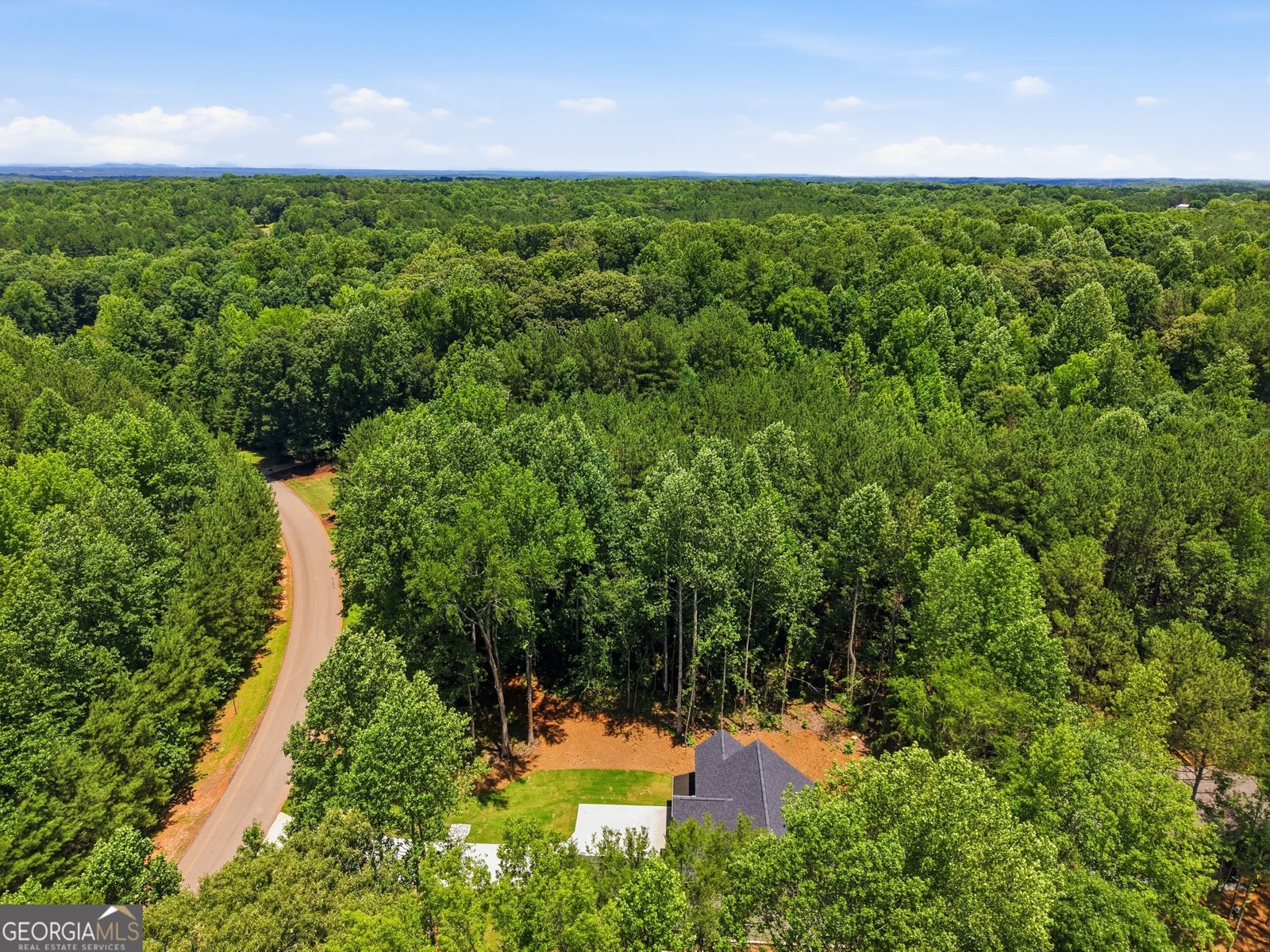 58 Trilium Trail Pendergrass - Photo 74