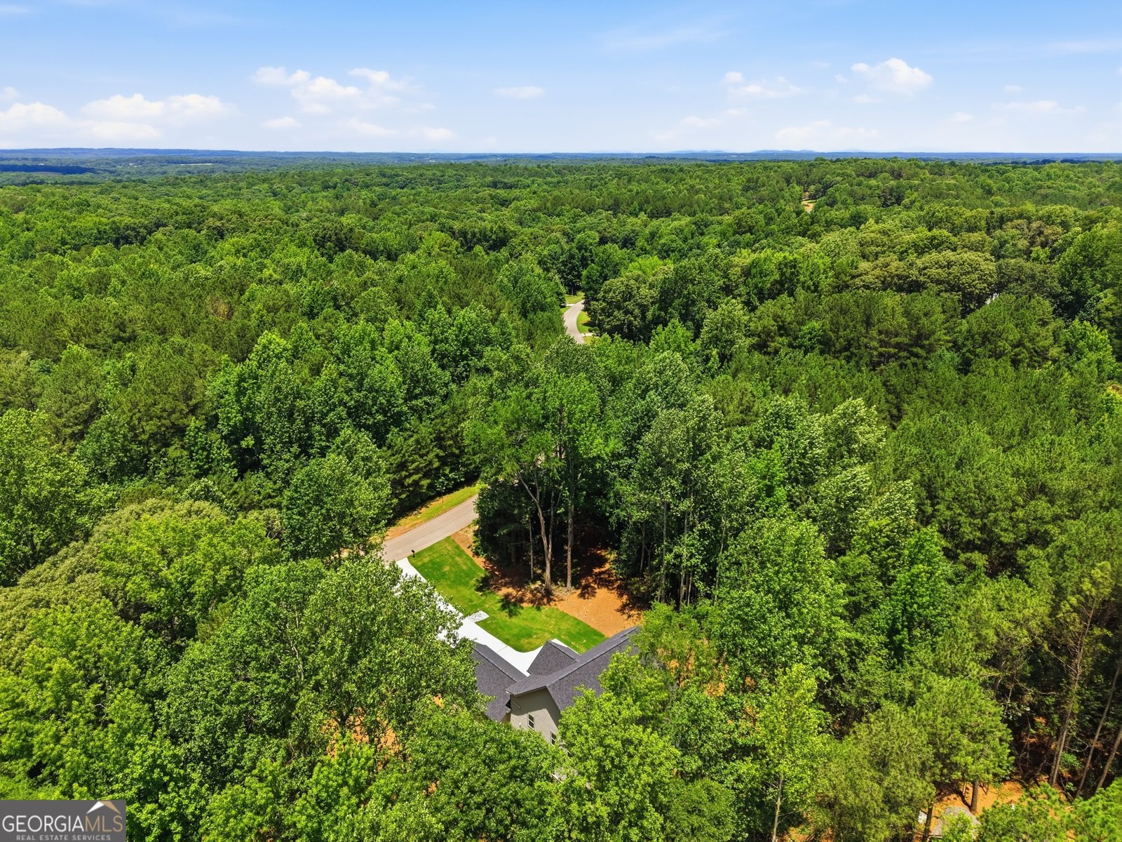 58 Trilium Trail Pendergrass - Photo 75