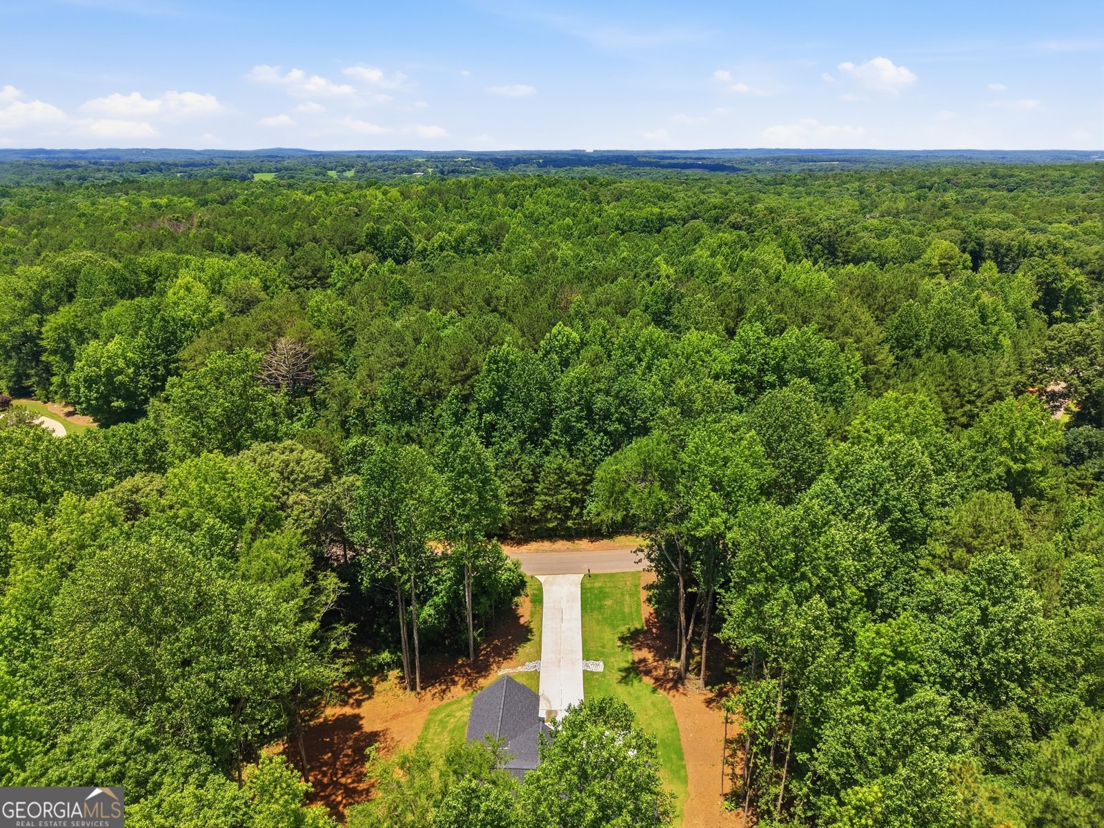 58 Trilium Trail Pendergrass - Photo 76