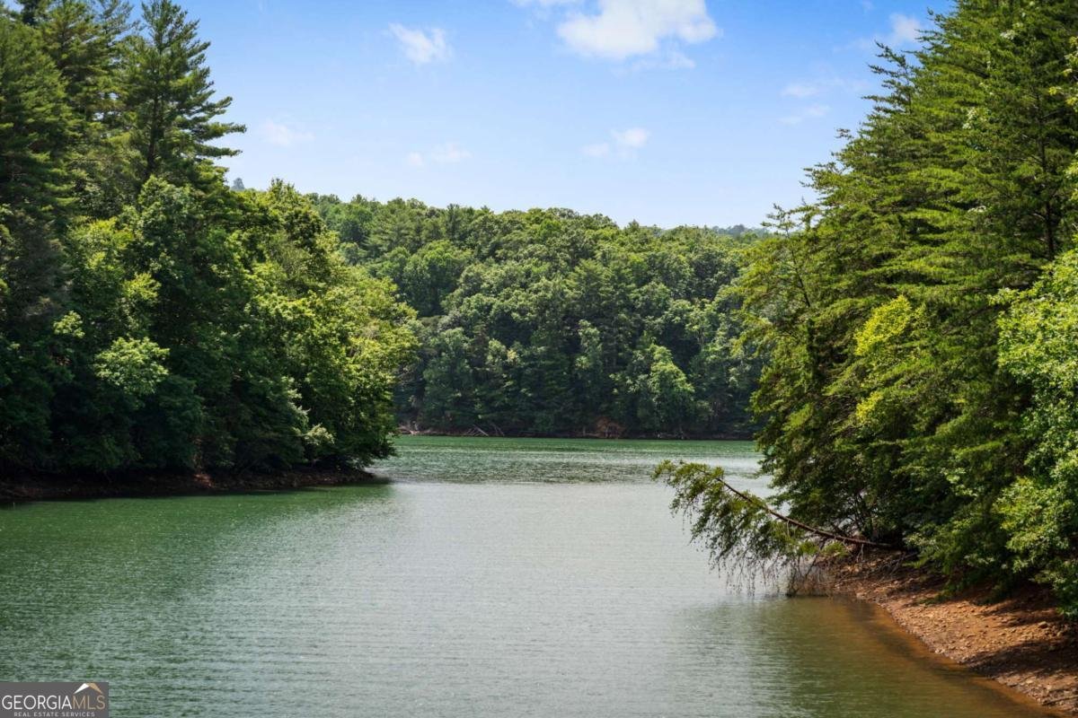 355 Old Camp Loop Morganton - Photo 85