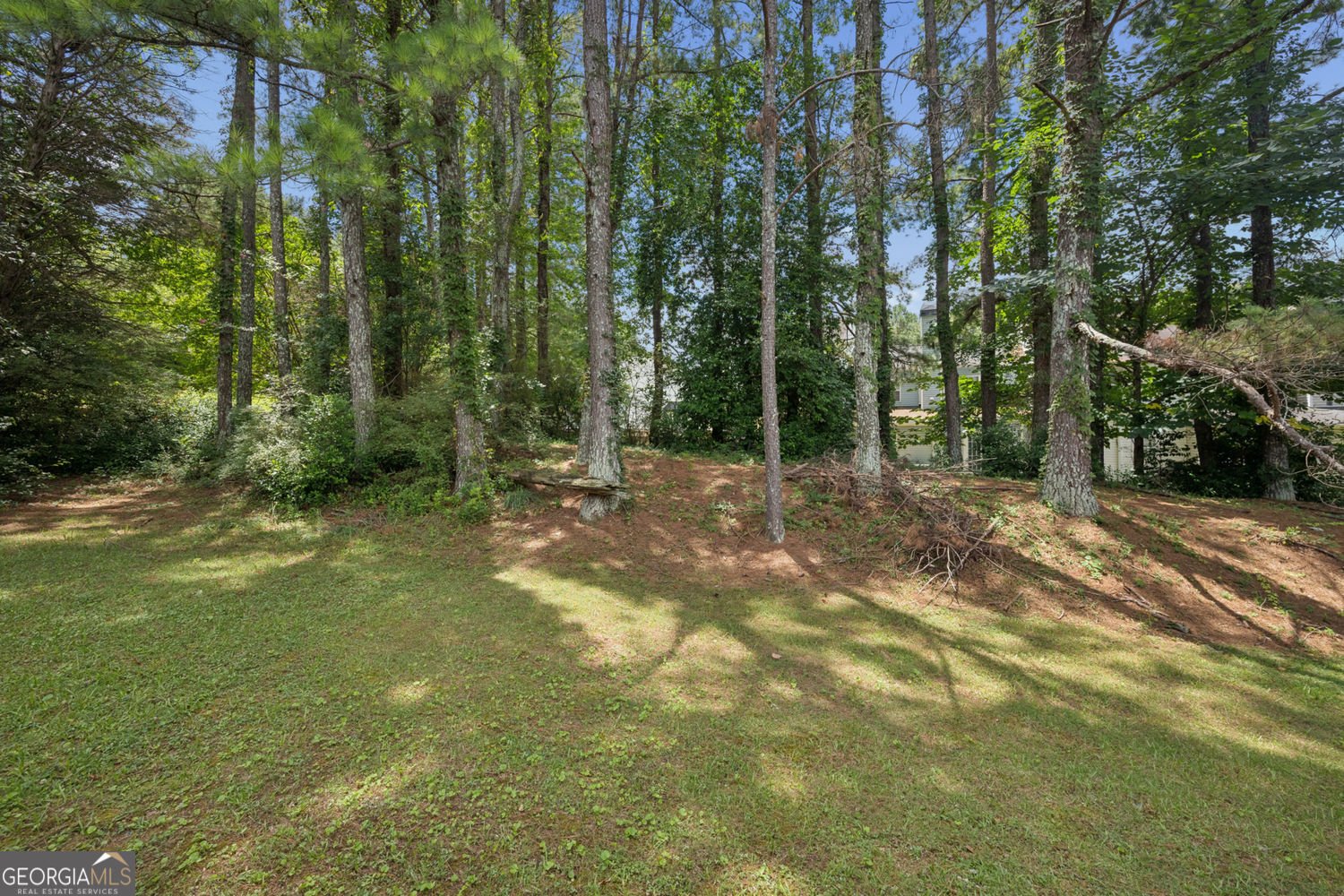 5933 Trent Walk Drive Lithonia - Photo 40