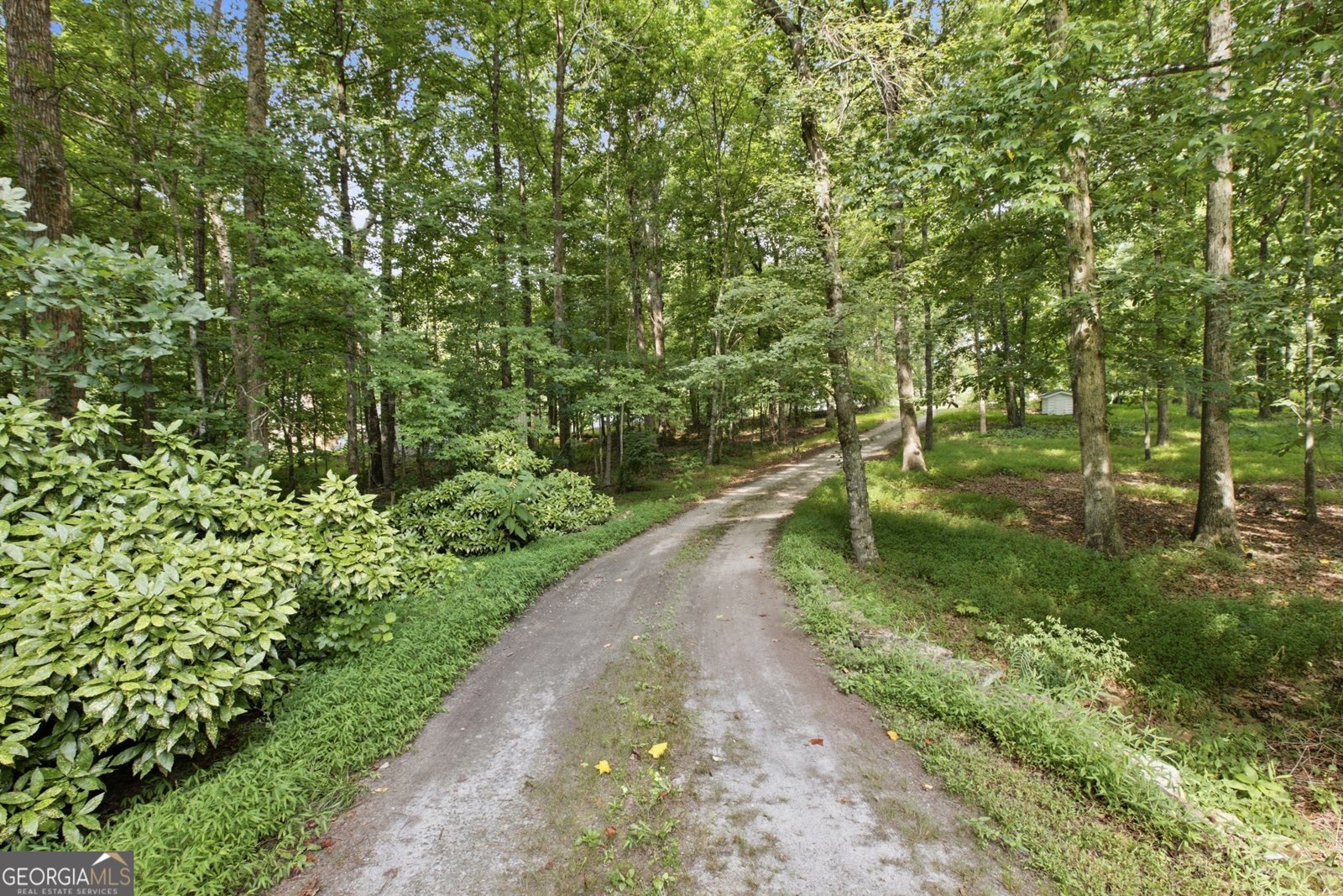 2336 Fred Pitts Road Clarkesville - Photo 88