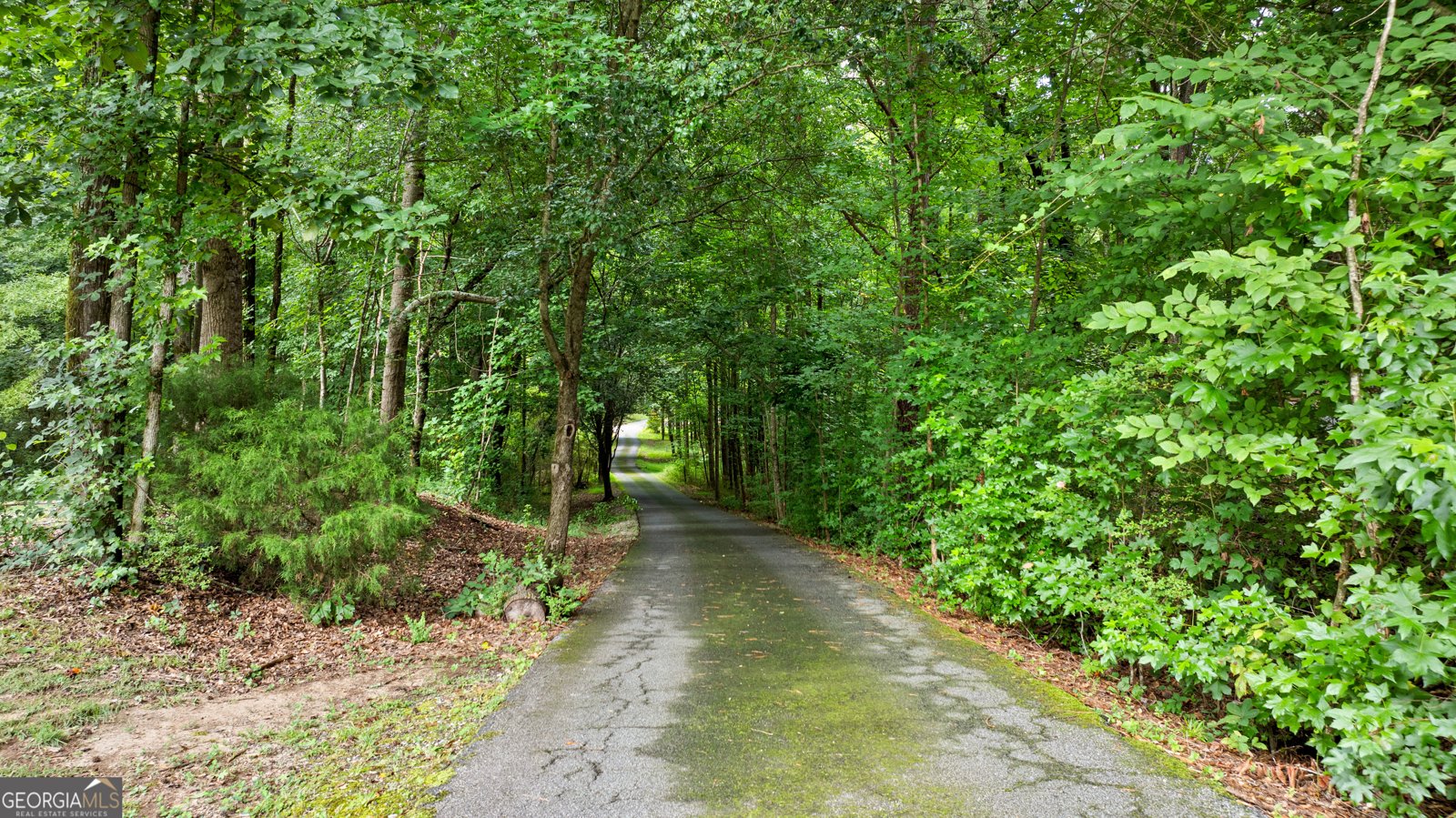55 Bretts Point Sharpsburg - Photo 38
