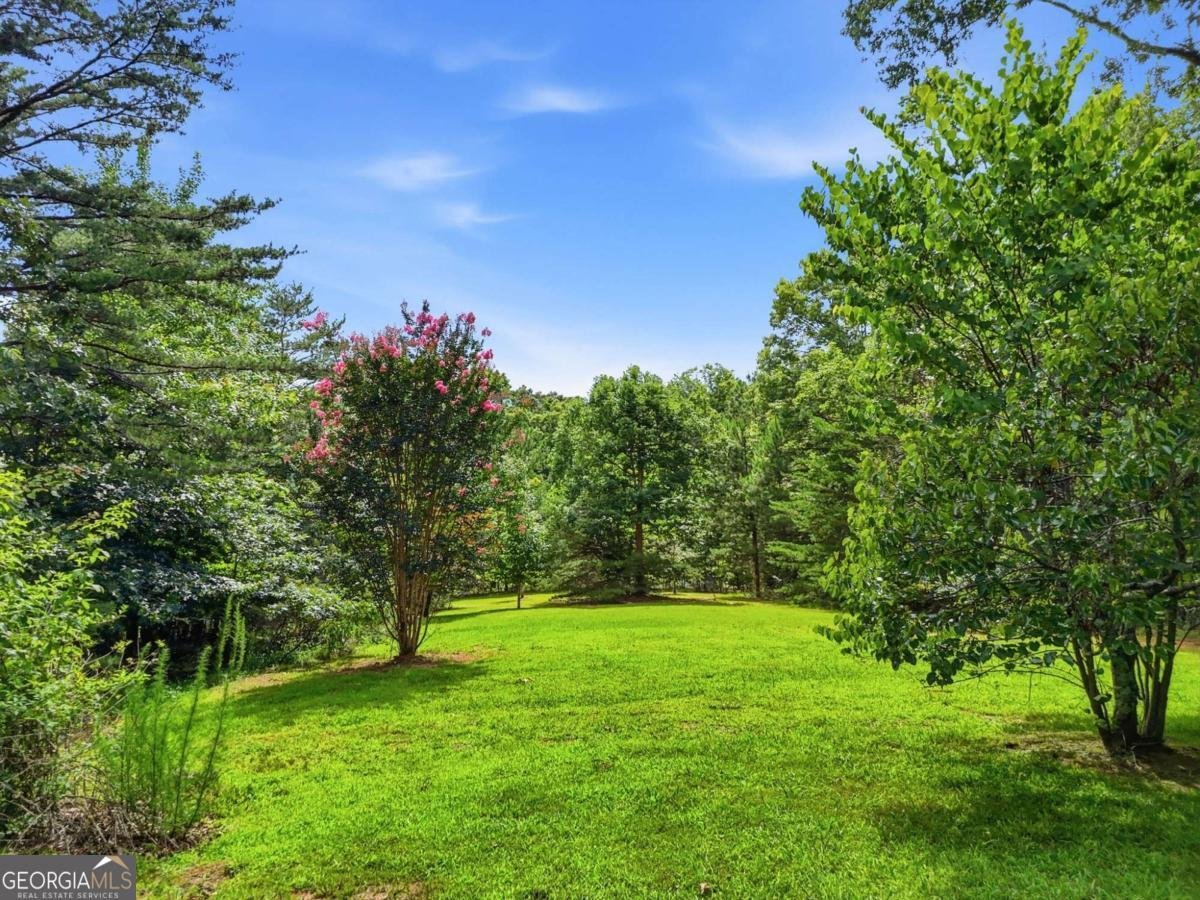 516 Endless View Road Mineral Bluff - Photo 41