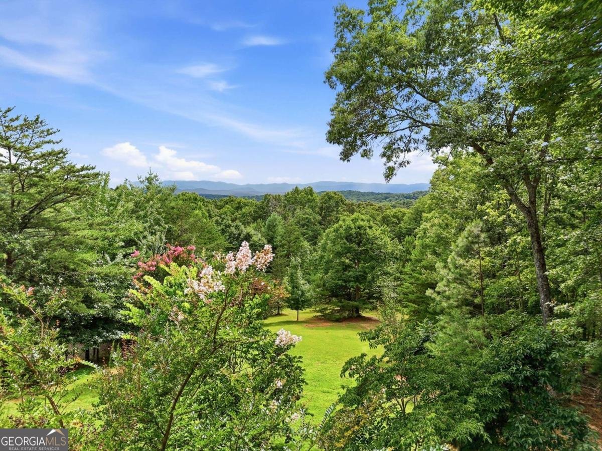 516 Endless View Road Mineral Bluff - Photo 50