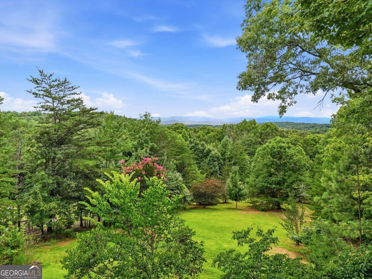 516 Endless View Road Mineral Bluff - Photo 52