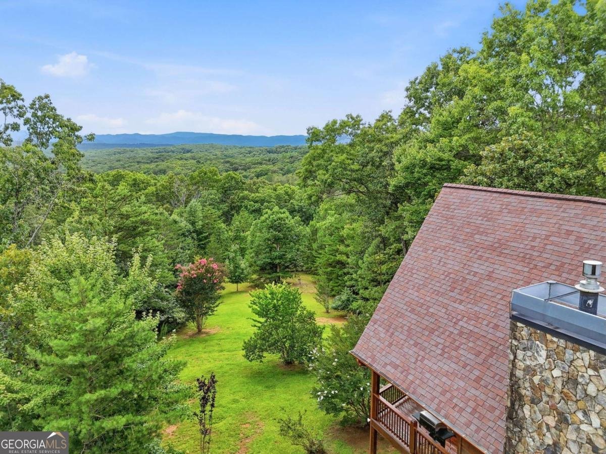 516 Endless View Road Mineral Bluff - Photo 54
