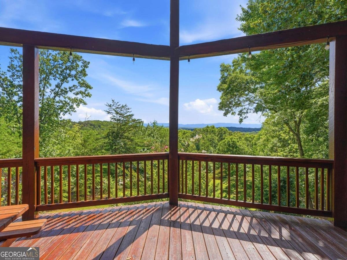 516 Endless View Road Mineral Bluff - Photo 8