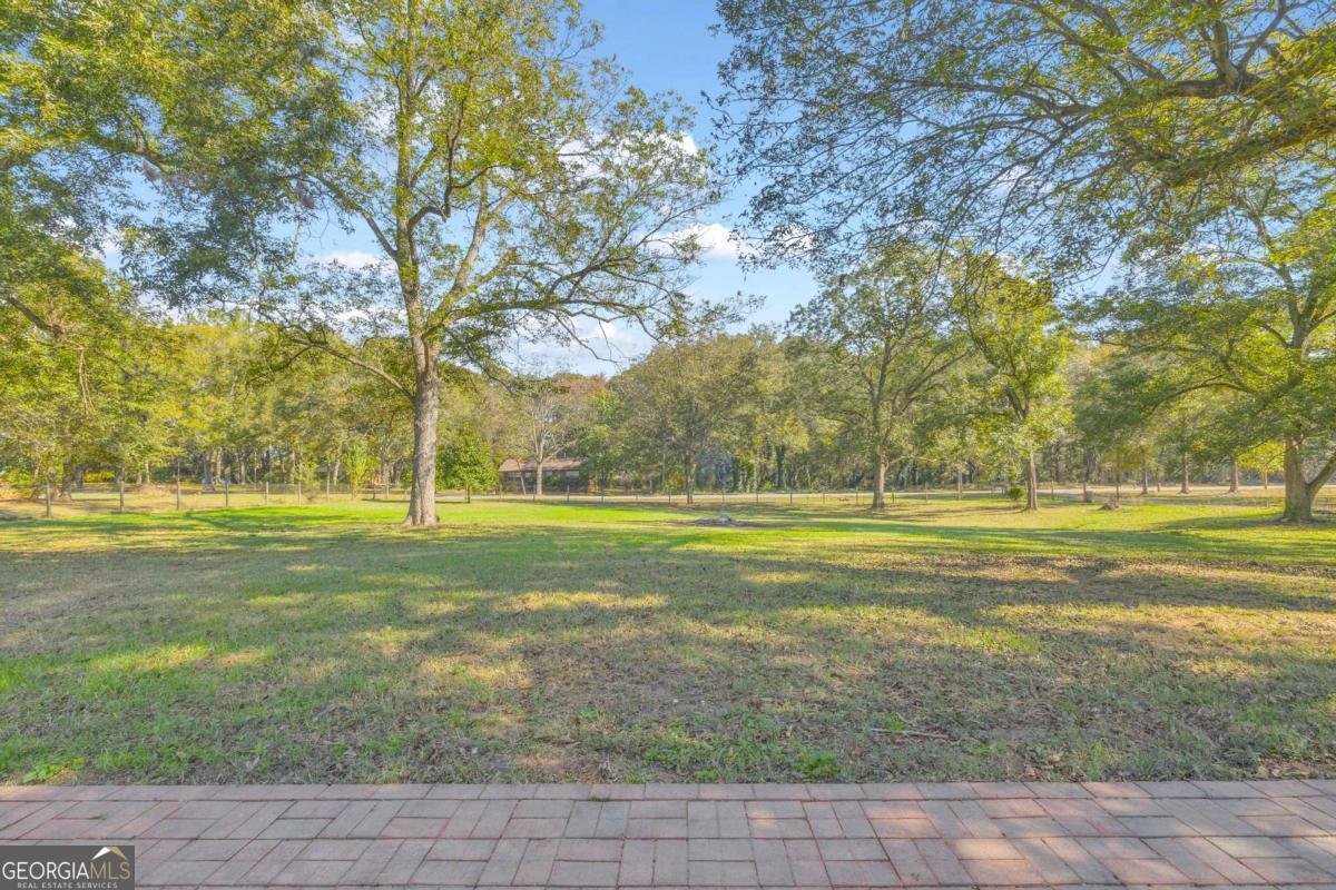 5921 Bostwick Highway Bishop - Photo 58