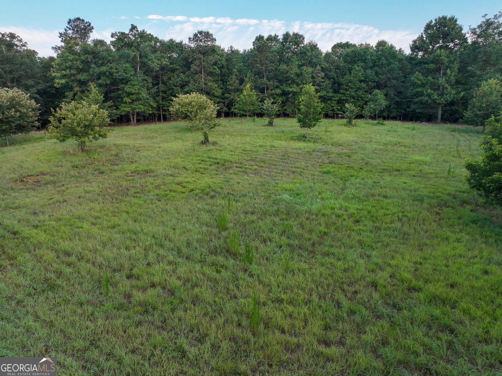 153 LOT 1 AND 2 Highland Circle Flovilla - Photo 46