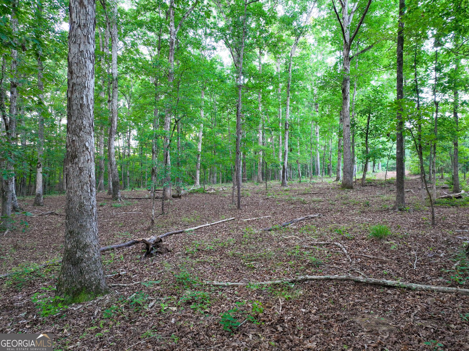 153 LOT 1 AND 2 Highland Circle Flovilla - Photo 50