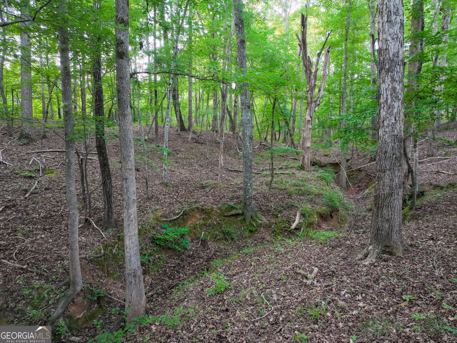 153 LOT 1 AND 2 Highland Circle Flovilla - Photo 51