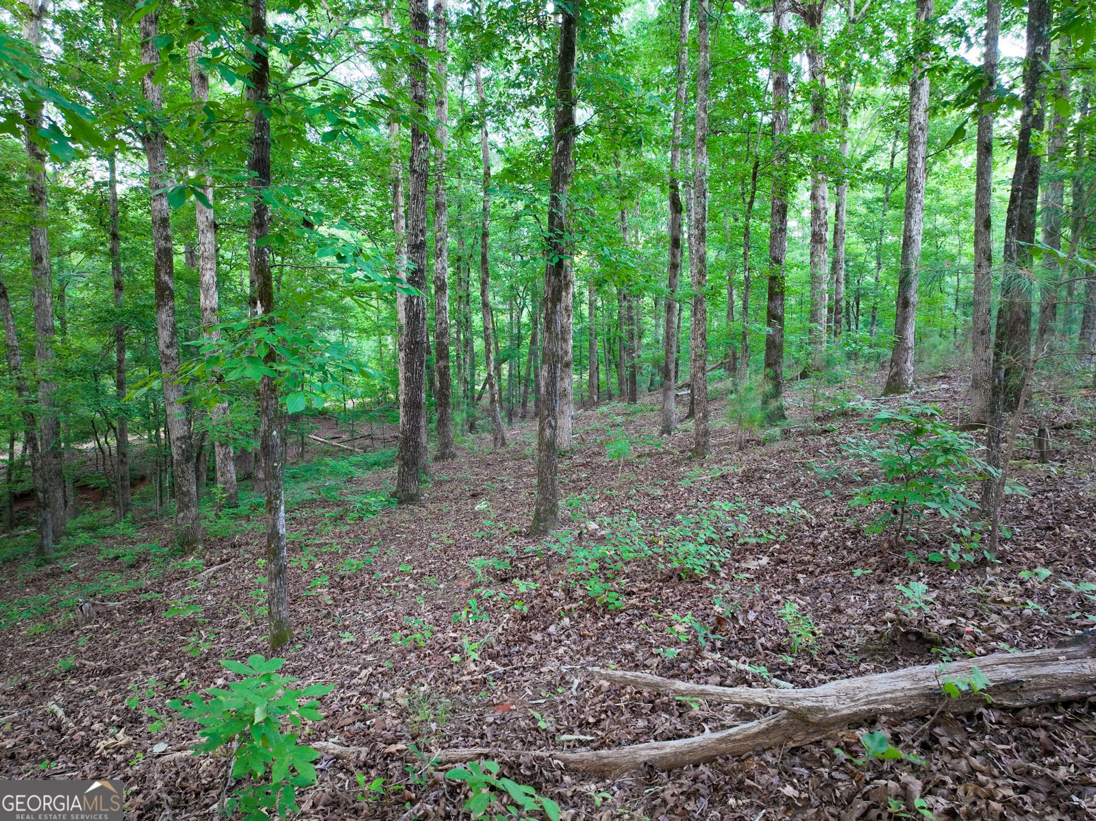 153 LOT 1 AND 2 Highland Circle Flovilla - Photo 57