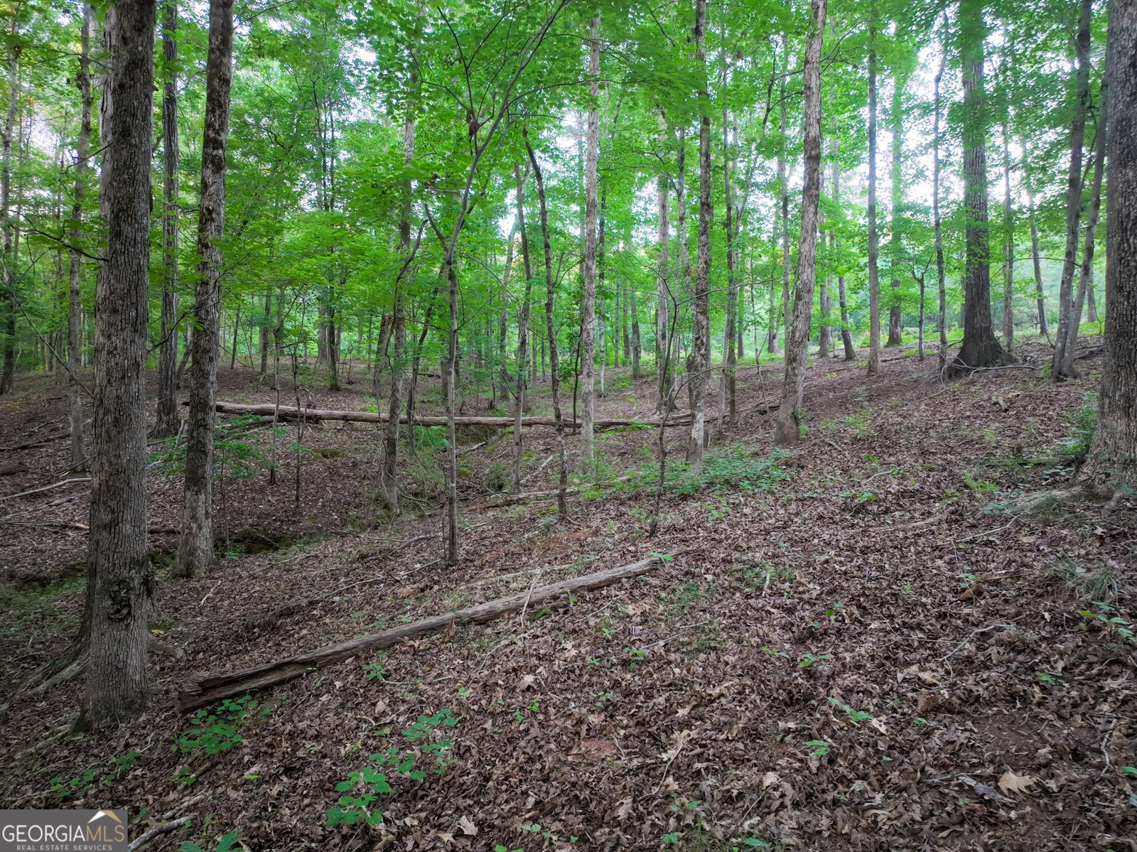 153 LOT 1 AND 2 Highland Circle Flovilla - Photo 58