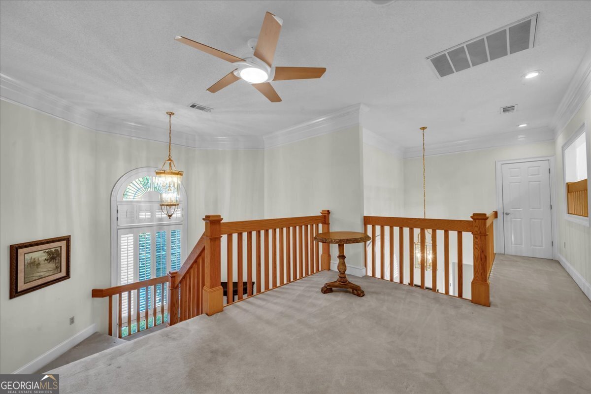 1060 COOKS MILL Road Oglethorpe - Photo 37