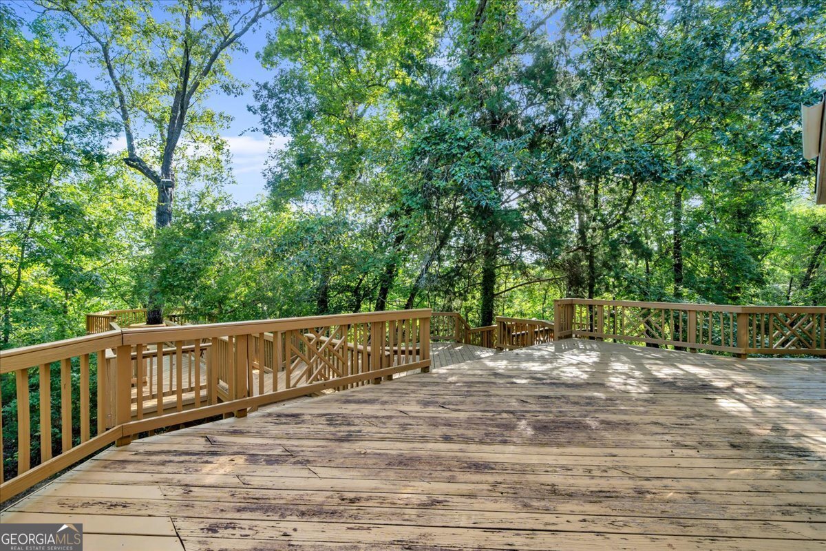 1060 COOKS MILL Road Oglethorpe - Photo 54