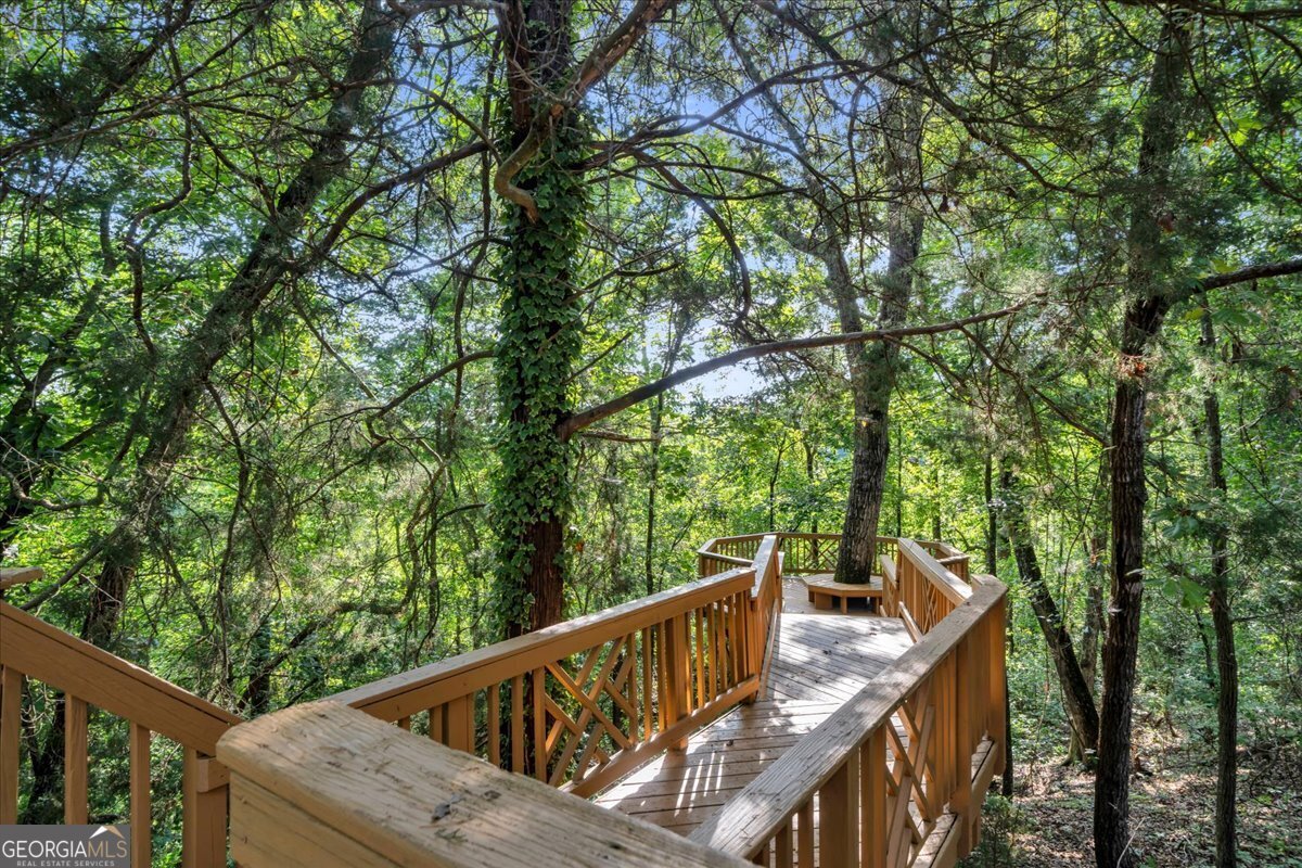 1060 COOKS MILL Road Oglethorpe - Photo 60