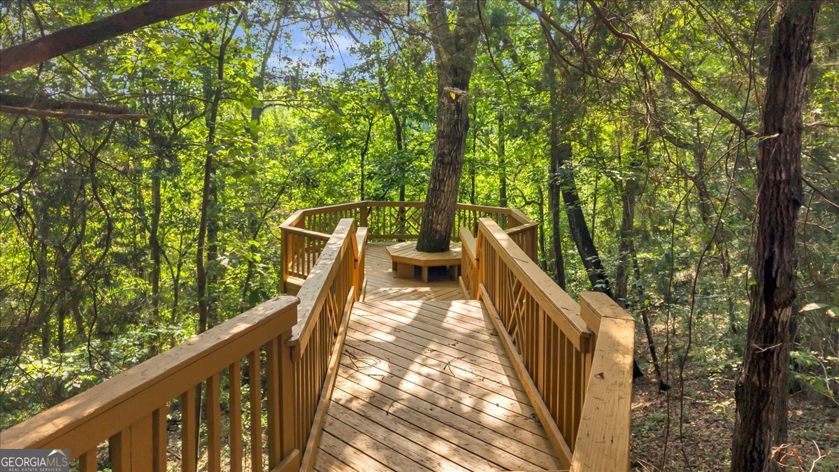 1060 COOKS MILL Road Oglethorpe - Photo 61