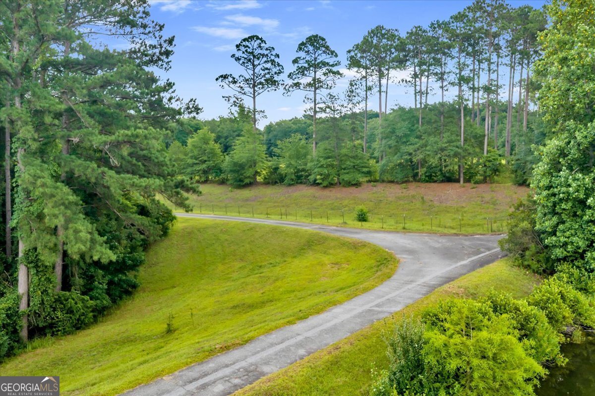 1060 COOKS MILL Road Oglethorpe - Photo 74