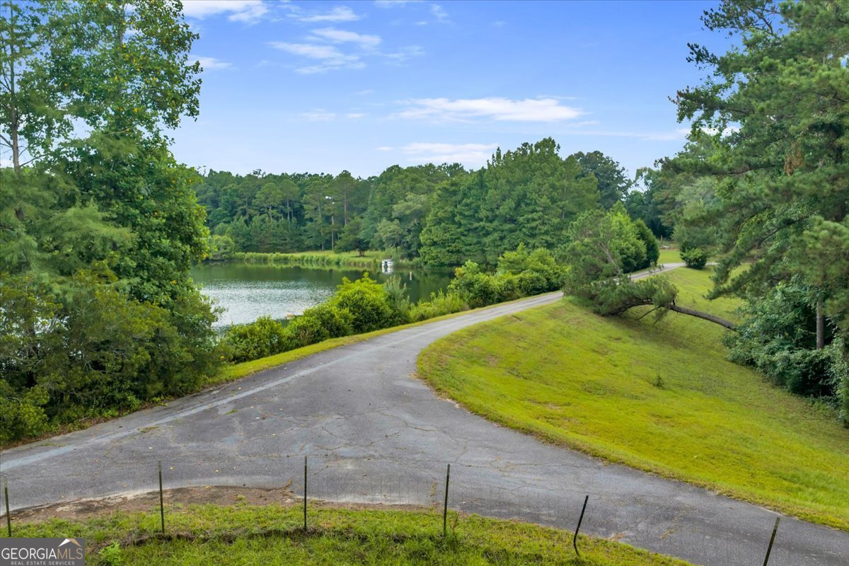 1060 COOKS MILL Road Oglethorpe - Photo 75