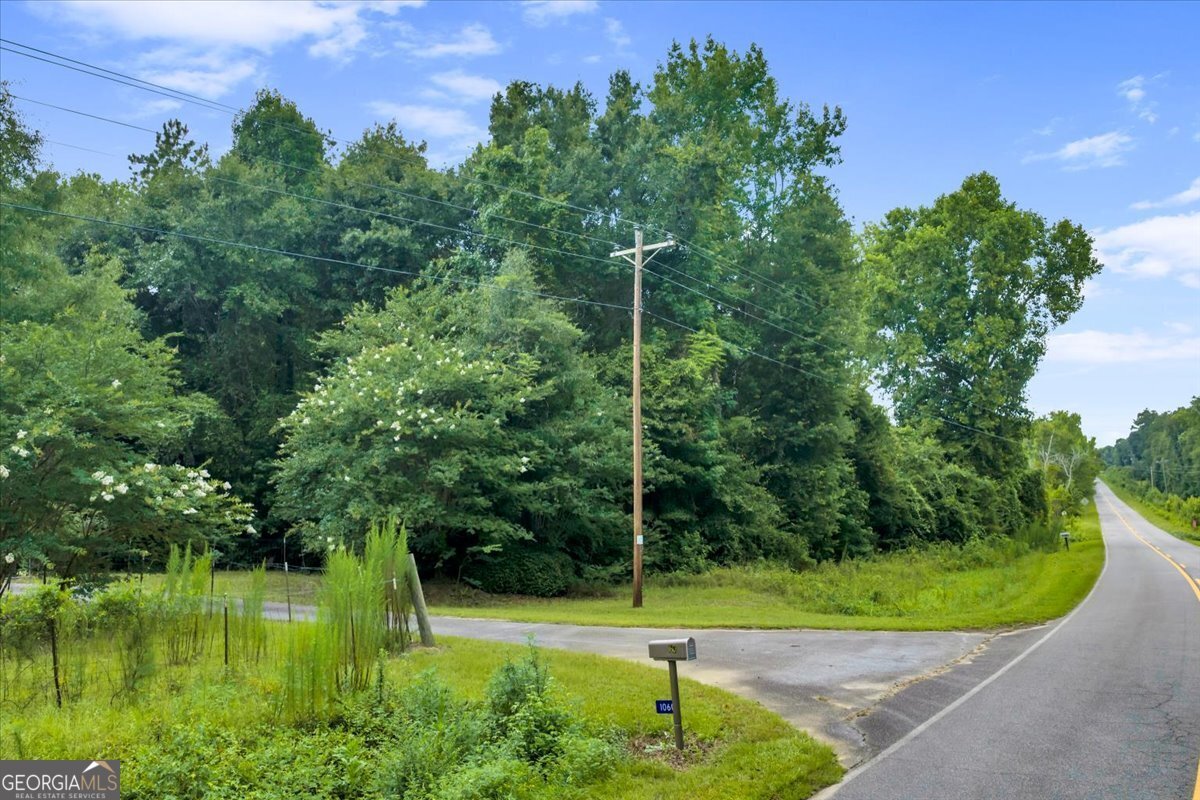 1060 COOKS MILL Road Oglethorpe - Photo 76