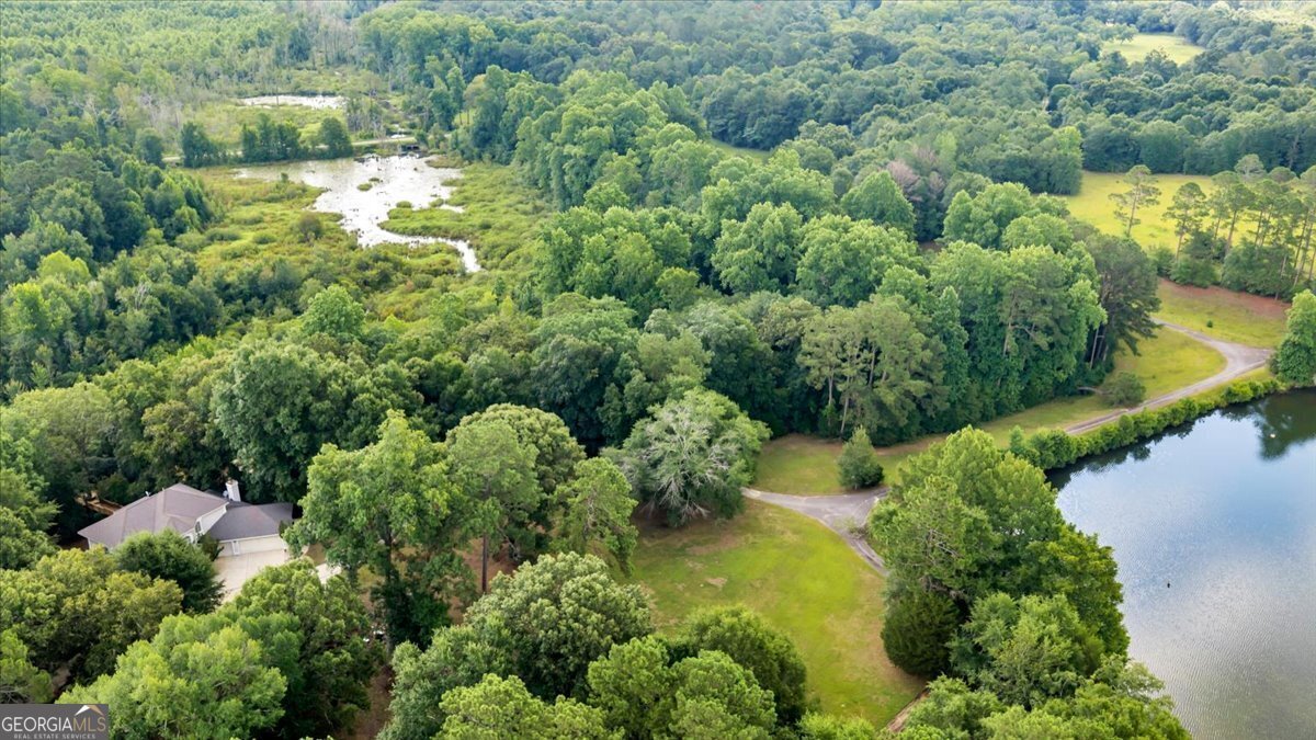 1060 COOKS MILL Road Oglethorpe - Photo 80