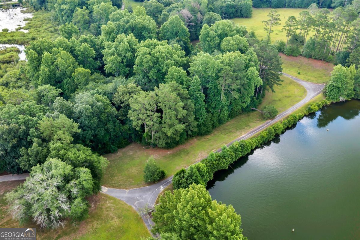 1060 COOKS MILL Road Oglethorpe - Photo 81