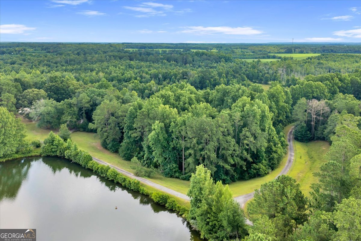1060 COOKS MILL Road Oglethorpe - Photo 82