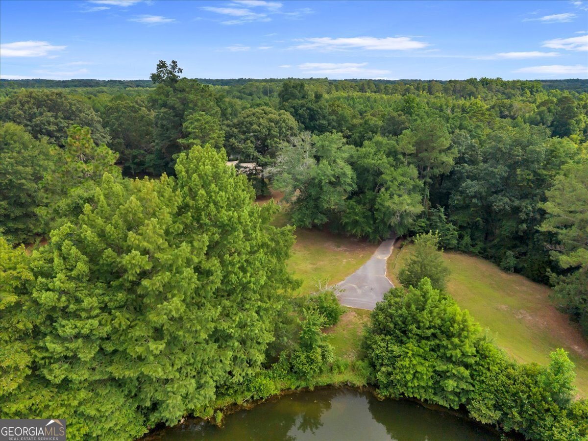 1060 COOKS MILL Road Oglethorpe - Photo 84